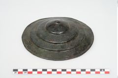 Foto von Bronzephalere (NHMW-PRAE-024553)